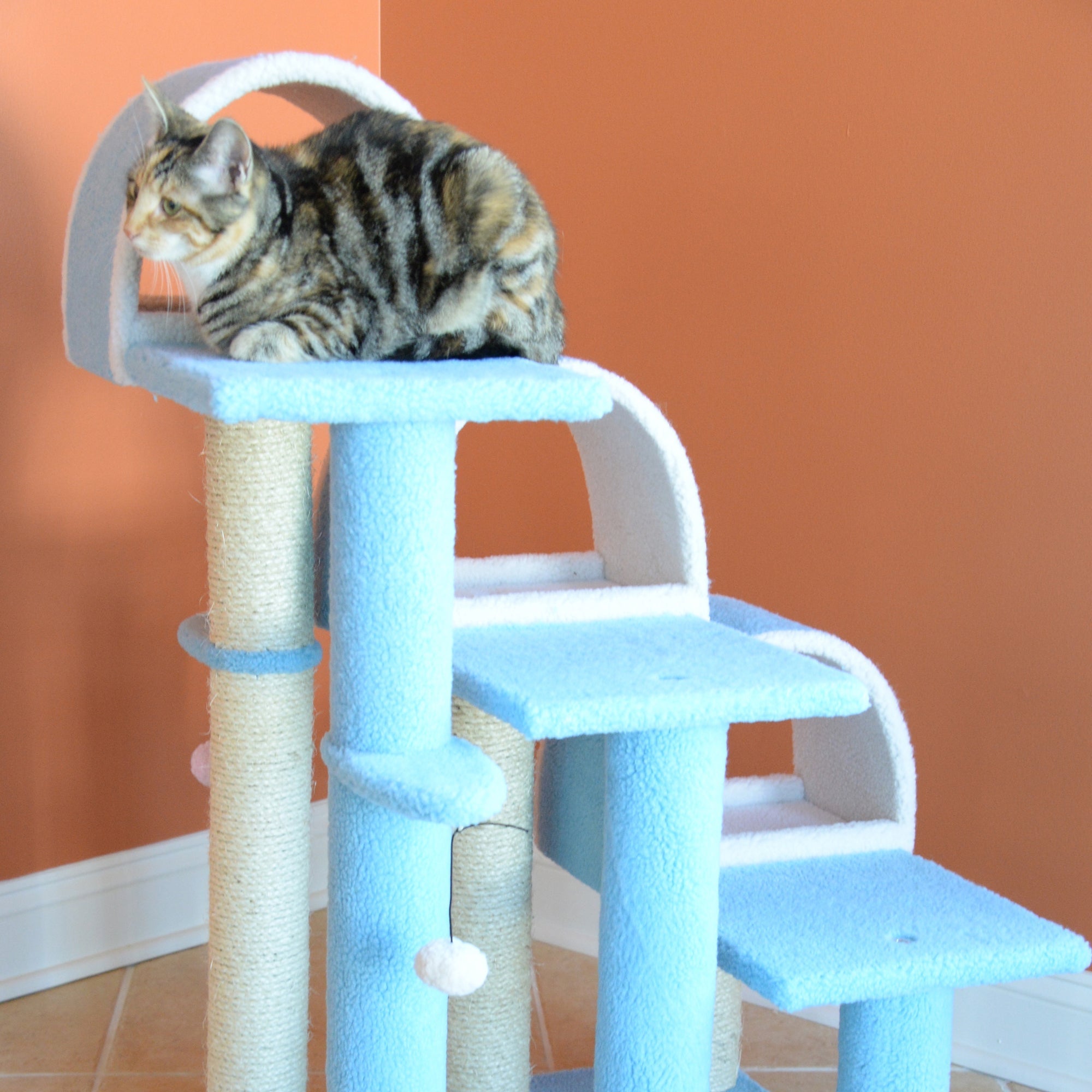 Armarkat Cat Furniture B3803 - 38-Inch - Sky/Blue