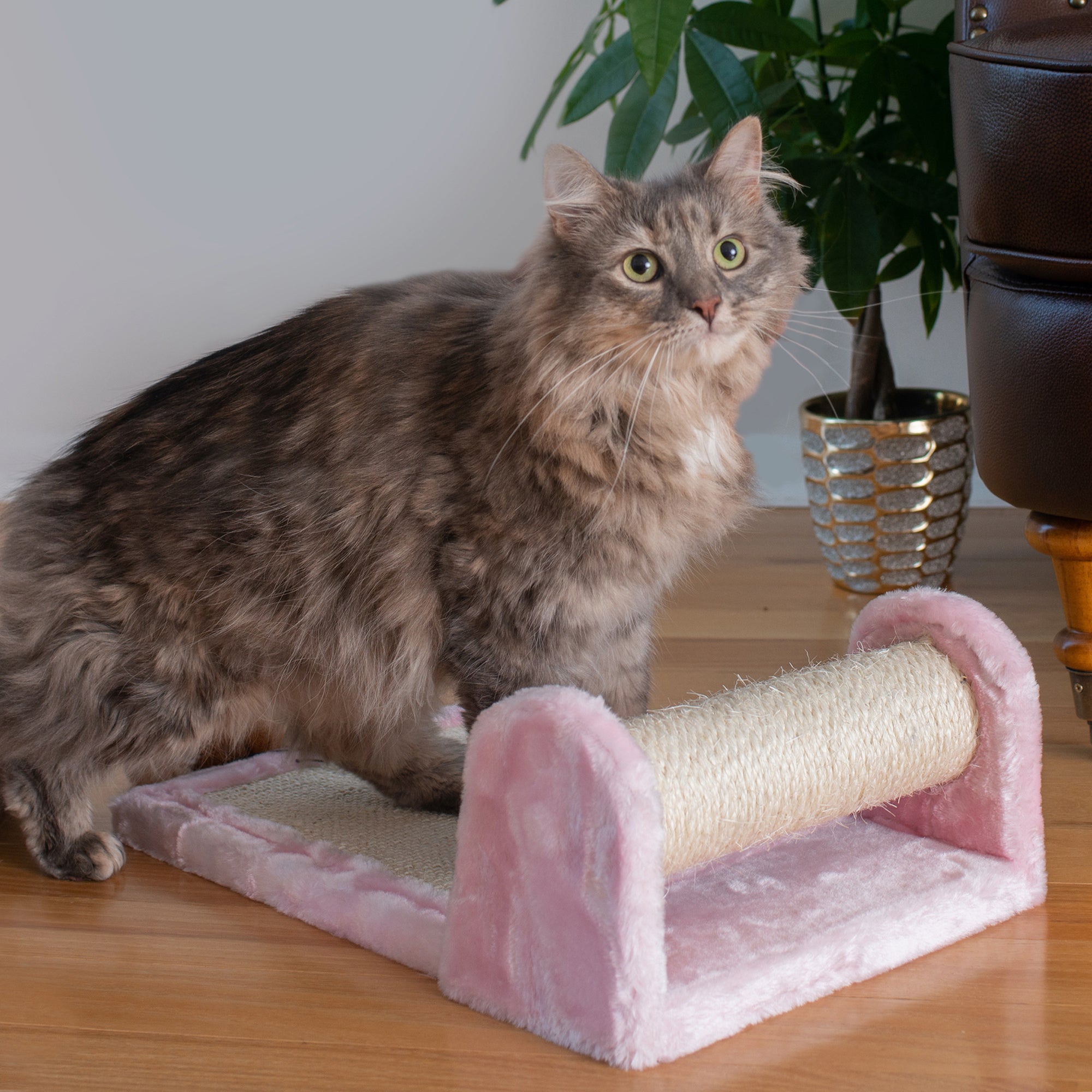Armarkat Cat Scratching Post - Pink