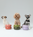 Load image into Gallery viewer, Soufflé Pet Bowl - Purple
