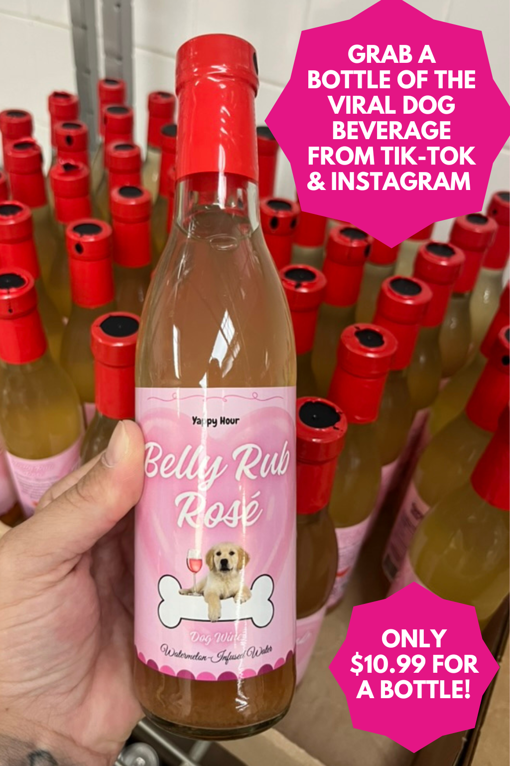 Belly Rub Blush Watermelon Dog Water dog hydration treat product image