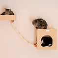 Load image into Gallery viewer, Armarkat Wall Series Cat Furniture W1907E - Beige
