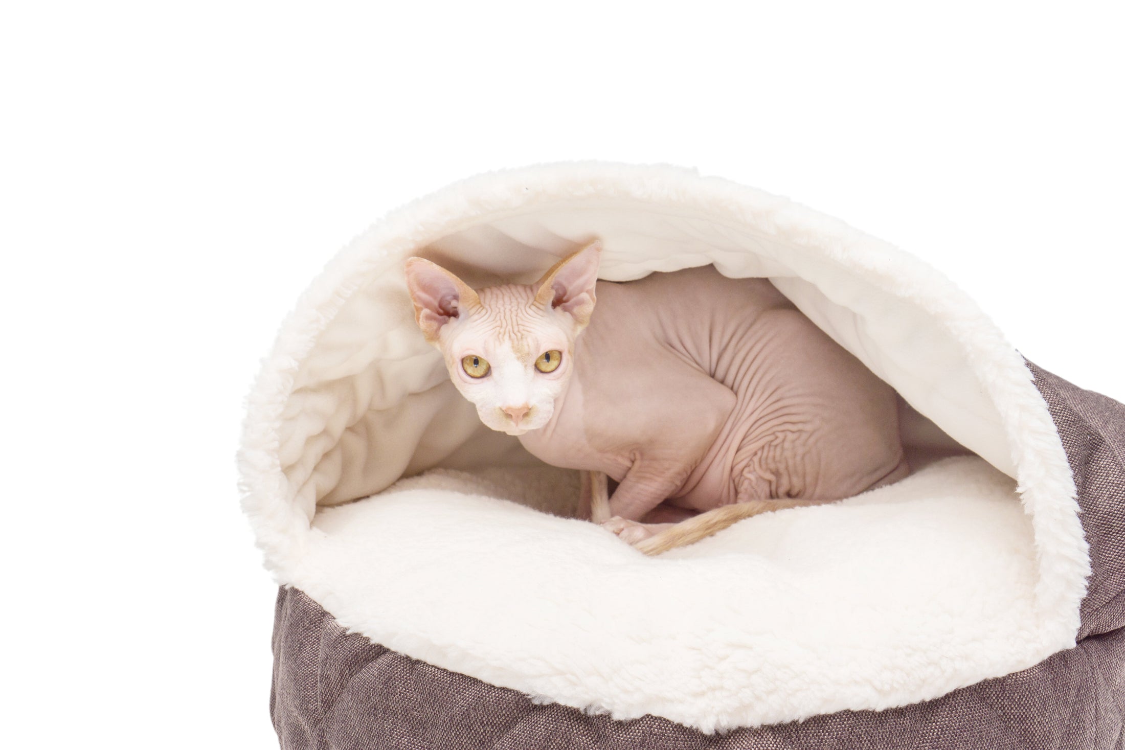 Cover Cat Bed - Southlake Paws