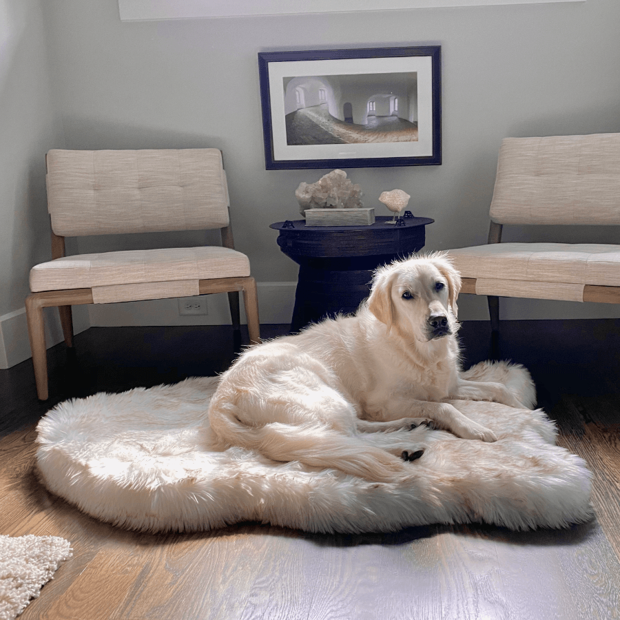 PupRug Faux Fur Orthopedic Dog Bed - Curve White with Brown Accents - Southlake Paws