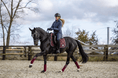 Load image into Gallery viewer, Burgundy Saddle Pad Set
