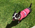 Load image into Gallery viewer, Parisian Pet 'Princess' Playful Dog Shirt – Comfortable Small Dog Shirt for Dogs & Cats, Pink
