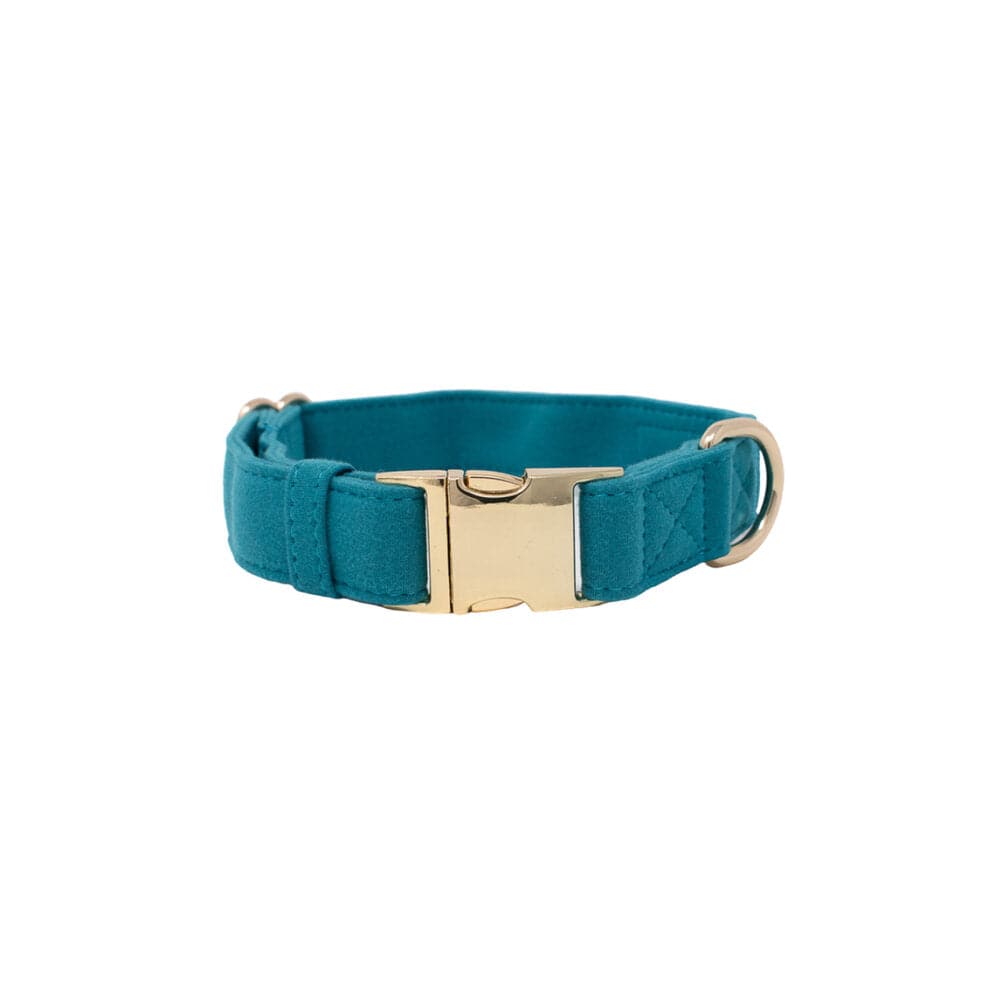 Hayden Dog Collar
