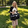 Load image into Gallery viewer, Mr. Peanut's Gold Series Standard Size Airline Compliant Expandable Pet Carrier

