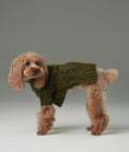 Load image into Gallery viewer, GLACIER PET SWEATER - OLIVE GREEN
