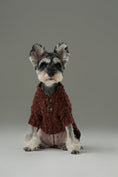 Load image into Gallery viewer, GLACIER PET SWEATER - BURGUNDY

