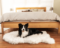 Load image into Gallery viewer, PupRug by Paw.com™ Faux Fur Orthopedic Dog Bed - Curve Polar White
