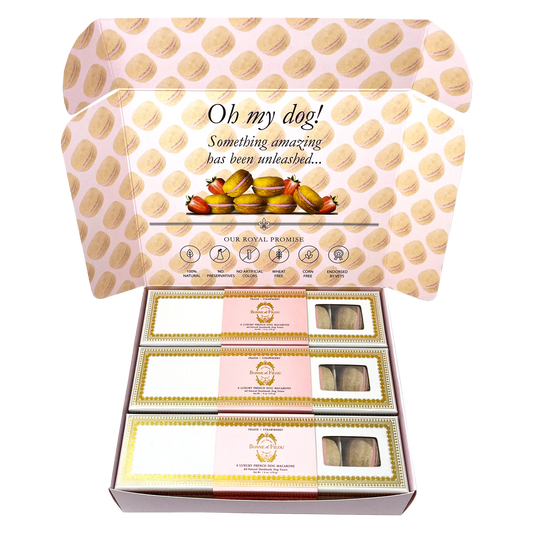 Dog Macaron Combo Gift Box (18 French Dog Macarons)