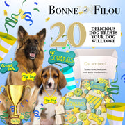 Congrats Themed Dog Treats Gift Box