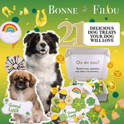 Good Luck Themed Dog Treats Gift Box