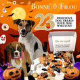 Load image into Gallery viewer, Halloween Themed Dog Treats Gift Box
