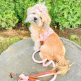 Load image into Gallery viewer, HARNESS - BELLA ROSE

