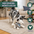 Load image into Gallery viewer, Dog Toys Premium Leo Lamb Plush Dog Toy Knottie®
