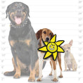 Load image into Gallery viewer, tuffy® Alien Series - Junior Sun Ball
