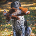 Load image into Gallery viewer, Premium Maple Moose X-Brace™ Durable Plush Dog Toy
