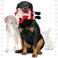 Load image into Gallery viewer, mighty® Arctic Series - Santa
