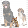 Load image into Gallery viewer, mighty® Farm Series - Pug

