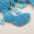 Load image into Gallery viewer, Raw Bar Wee Huggles® Plush Dog Toys, 3 pack - image 5
