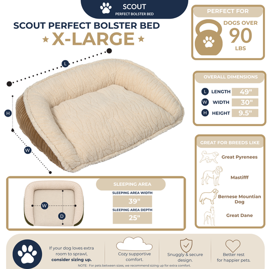 Premium Scout Perfect Bolster Dog Bed
