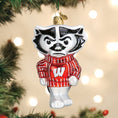 Load image into Gallery viewer, Wisconsin Bucky Ornament - Southlake Paws
