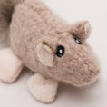 Load image into Gallery viewer, HuggleKats® Wee Fellar Squirrelie Cat Toy - image 5
