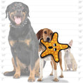 Load image into Gallery viewer, tuffy® Ocean Creature Series - The "General"  Starfish
