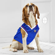 Los Angeles Clippers Dog Jersey 