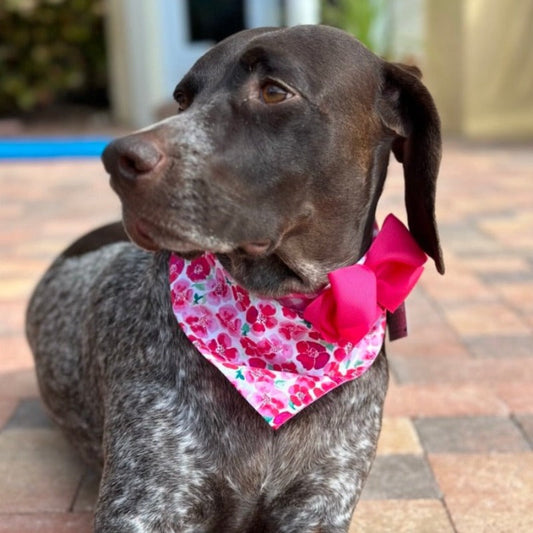 Pink Flowers Bandana Dog Collar With Bow - Southlake Paws