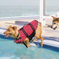 Load image into Gallery viewer, Paws & Bones Dog Life Jacket - Southlake Paws
