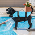 Load image into Gallery viewer, Paws & Bones Dog Life Jacket - Southlake Paws
