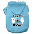 Load image into Gallery viewer, Halloween Pet Hoodie "Here For The Boos"

