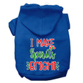 Load image into Gallery viewer, Christmas Pet Hoodie Screen Printed, "I Make Spirits Bright"
