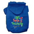 Load image into Gallery viewer, Christmas Pet Hoodie "I Can't, Santa Is Watching"
