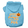 Load image into Gallery viewer, Halloween Pet Hoodie "Cutest Pumpkin In The Patch"
