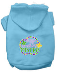 Load image into Gallery viewer, Pet Dog & Cat Hoodie Screen Printed, "Throw Me Something Mister"

