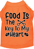 Load image into Gallery viewer, Fun Cat or Dog Shirt for Pets "Food is the Key"
