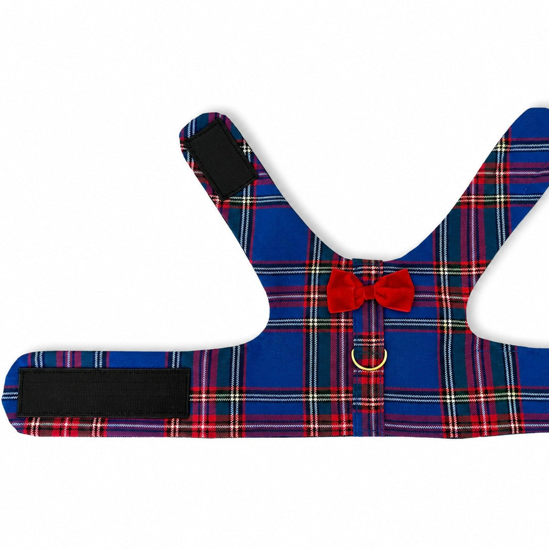 Red/Blue Plaid Harness