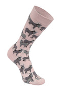 Load image into Gallery viewer, AWST Int'l Donkey Love Socks 6 pack
