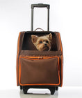 Load image into Gallery viewer, RIO Classic - Orange Zest
