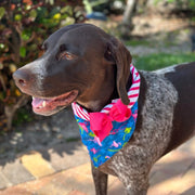 Flamingo Bandana Dog Collar With Bow
