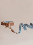 Load image into Gallery viewer, Lilco Braided-Leash | Seabreeze
