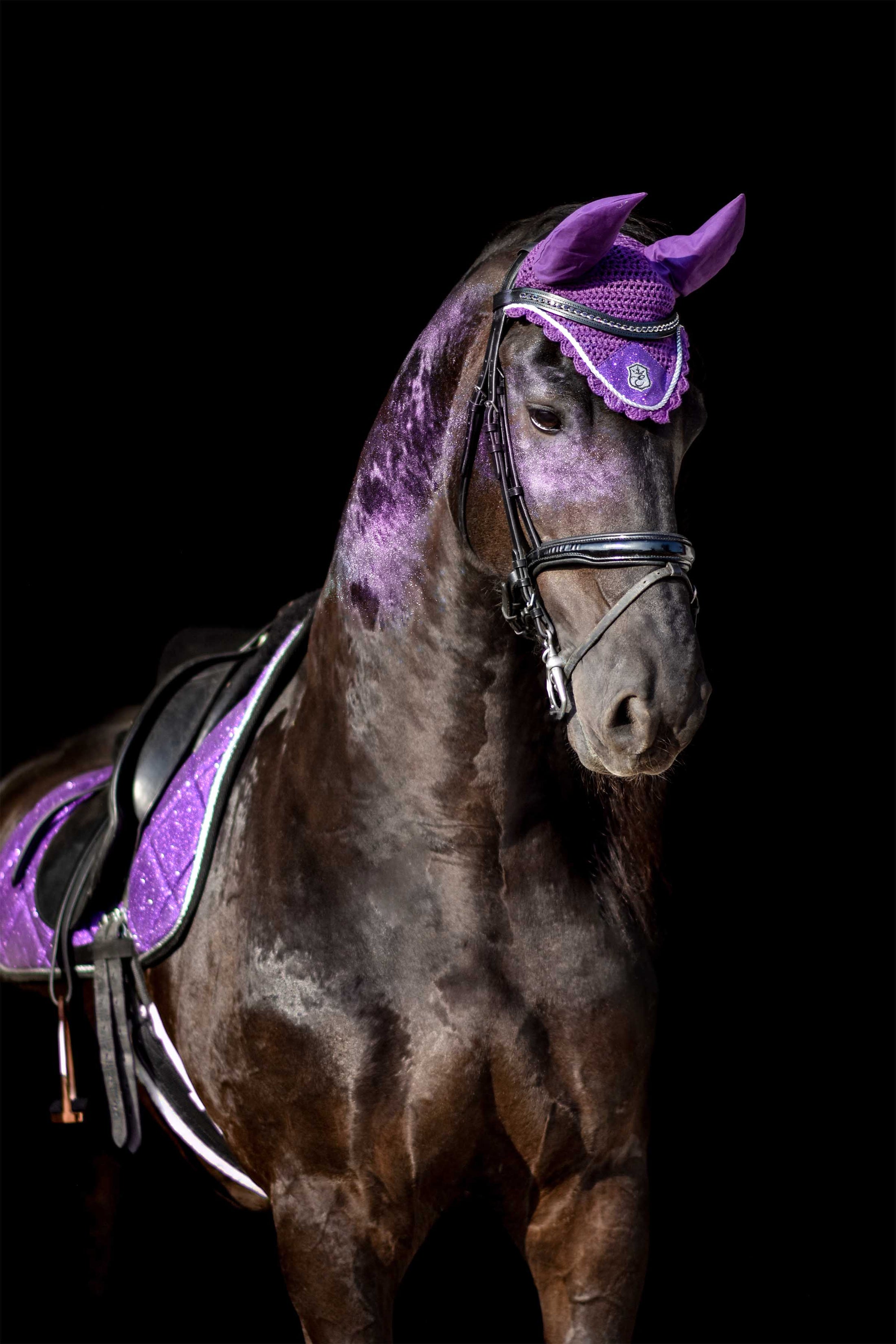 Purple Amethyst Fly Hat