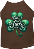 Load image into Gallery viewer, Adorable Cat or Dog Shirt for Pets "A's Born Lucky"
