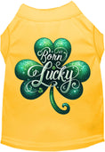 Load image into Gallery viewer, Adorable Cat or Dog Shirt for Pets "A's Born Lucky"
