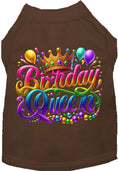 Load image into Gallery viewer, Adorable Cat or Dog Shirt for Pets "Gorgeous Birthday Queen"
