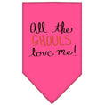 Load image into Gallery viewer, Halloween Pet and Dog Bandana Screen Printed, "All The Ghouls Love Me"
