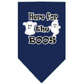 Load image into Gallery viewer, Halloween Pet and Dog Bandana Screen Printed, "Here For The Boos"

